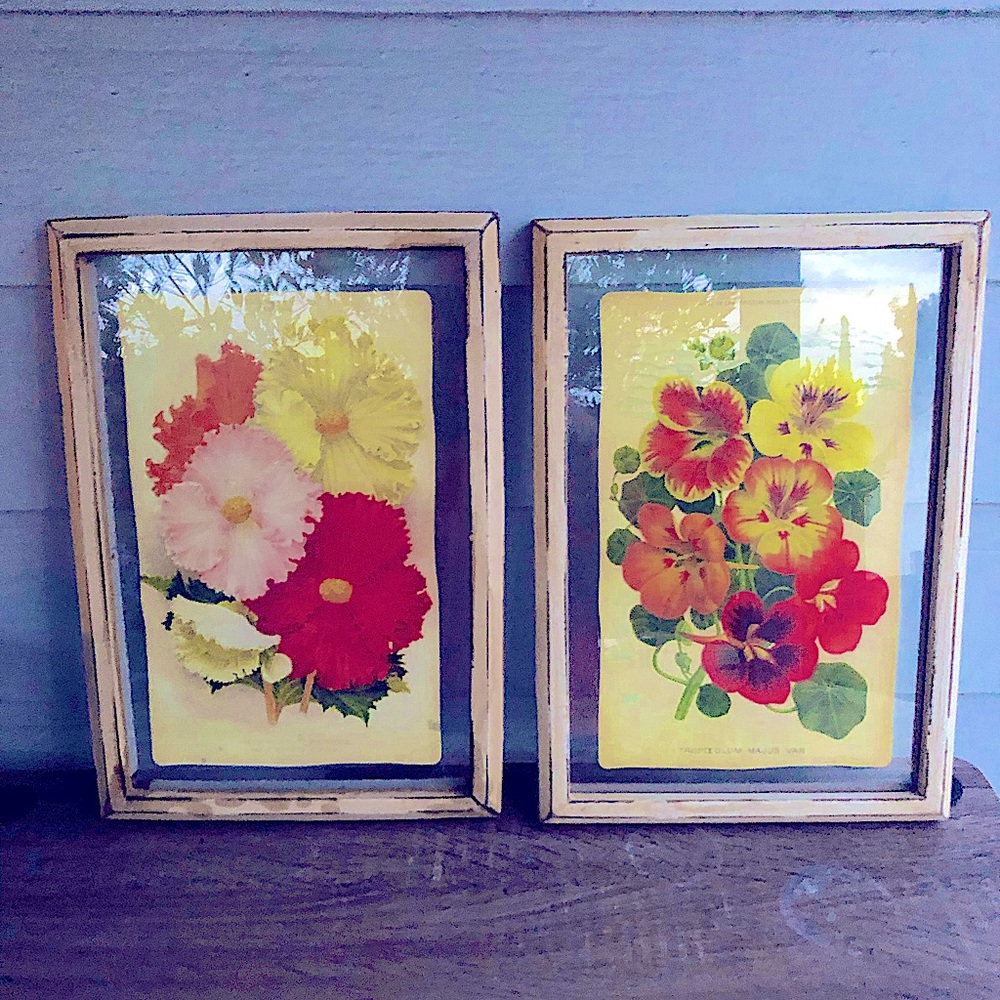 Pair of Flower Prints - Framed